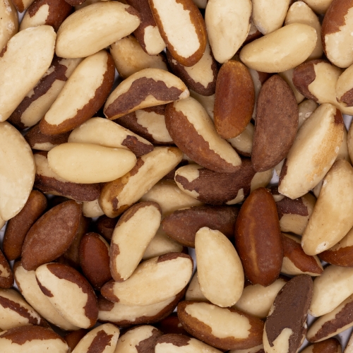 Nuci braziliene Grizly