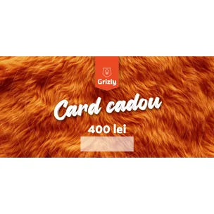 Card cadou electronic 400 lei